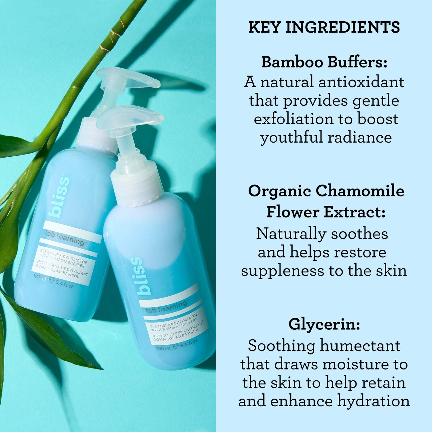 BLISS_BLISSPRIORITY13_FabFoaming2-in-1Cleanser_ExfoliatorwithBambooBuffers_6.4oz__IngredientsCallout-ECommerce_JPG_42c9a3b6-6efa-42ad-9f7b-ba00b643a31c